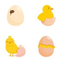 Cute cartoon chick hatching sequence vector