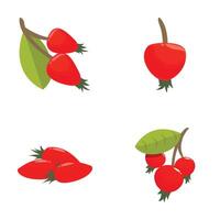 Collection of vibrant, cartoonstyle rose hip illustrations on a white background vector