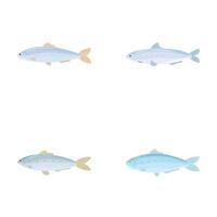 Set of cartoon fish illustrations vector