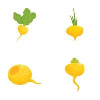 Colorful collection of root vegetables illustrations vector