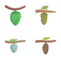 Set of cartoon cocoon transformations vector