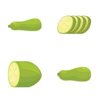 Fresh zucchini and slices isolated set vector