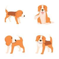 Cute beagle dog poses set vector