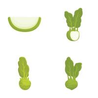 illustrations of a sliced cucumber and bok choy, perfect for foodthemed designs vector