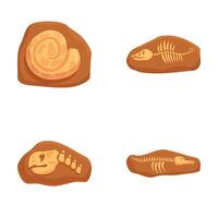 Set of four detailed cartoon illustrations depicting various prehistoric fossils vector