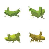 Collection of four stylized cartoon grasshopper images in various poses on a white background vector