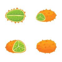 Exotic citrus fruit illustrations set vector