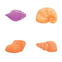 Set of colorful cartoon seashells on white background vector