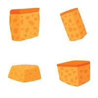 set of cheddar cheese blocks vector
