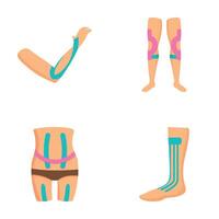 Human body joints and support illustrations vector