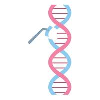 Dna strands with editing tool concept vector