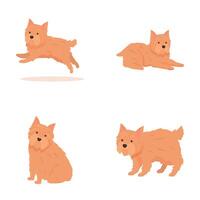 conjunto de dibujos animados escocés terrier perros en varios poses vector