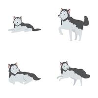 Cartoon siberian husky set in various poses vector