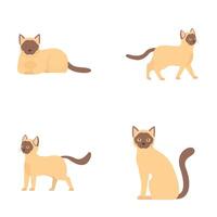 Set of siamese cat illustrations in various poses vector