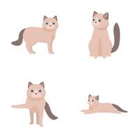 Set of siamese cat illustrations in various poses vector