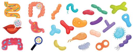 Lactobacilli icons set . A collection of cartoonish drawings of various body parts and germs vector