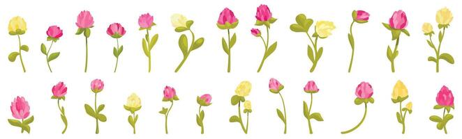 Clover bloom icons set . A row of flowers with some yellow flowers in the middle vector