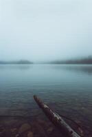 Vertical lake view in foggy day. Nature background with copy space. photo