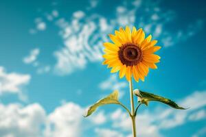 girasol en pie alto debajo un brillante azul cielo, Copiar espacio foto