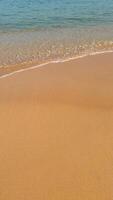 Tranquil sandy beach with gentle waves, ideal for travel and summer vacation concepts, potentially related to World Oceans Day photo