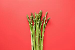 perfect asparagus isolated on red background photo