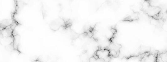 White marble texture background vector