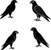 Black Silhouette Of Saker Falcon Bird vector