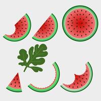 Fresh and juicy whole watermelons and slices. illustration. vector
