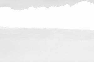 Isolated White Torn Paper with Shadow photo