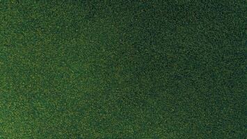 Luxurious Green Natural Carpet Texture, Ideal for Brochures, Invitations, Ads, and Web Templates photo