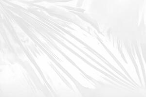Minimalist White Background with Elegant Wrapping Texture photo