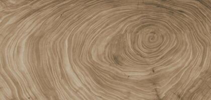 Cross Section of Tree Trunk with Growth Rings on Brown Background photo
