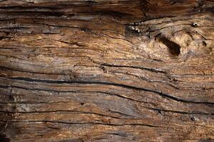 Close-Up Shot of Wooden Surface Texture photo