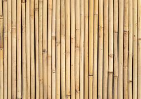 Bamboo Stick Fence, A Natural Boundary Solution photo