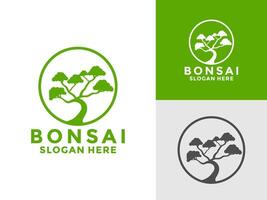 bonsai planta árbol logo icono diseño plantilla, bonsai logo diseño silueta, vector