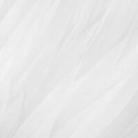 Soft-focused Abstract White Decorative Feathers Background photo