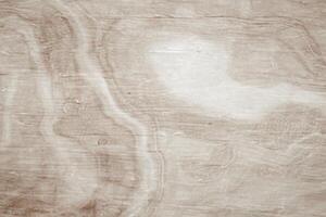 Natural Wood Texture Background, Abstract Pattern from Tree photo