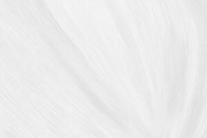 Minimalist White and Gray Gradient Curve Background. photo