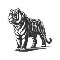 Tigre Arte ilustración vector