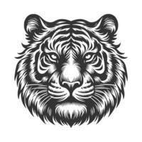Tigre Arte ilustración vector