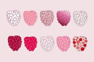 A collection of digital illustrations depicting different variations of raspberries, showcasing a range of colors and styles. vector