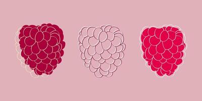 A digital illustration of three raspberries in various stages of ripeness on a light pink background. vector