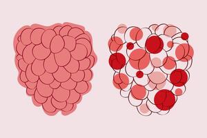A simple line drawing of two raspberries, one with solid red coloring and another with red and white dots. vector