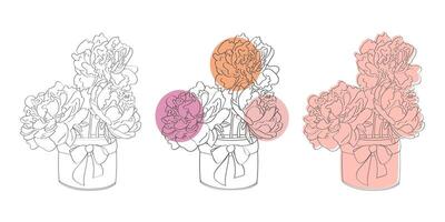 A simple line drawing of three variations of a set of peonies in a jar with a bow. vector