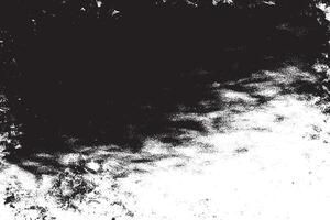 black monochrome grunge texture on white background, grunge overlay background texture vector