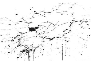 black ink splashes stains on white canvas vector