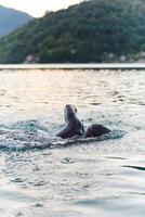 A professional triathlete trains with unwavering dedication for an upcoming competition at a lake, emanating a sense of athleticism and profound commitment to excellence. photo