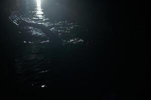 A determined professional triathlete undergoes rigorous night time training in cold waters, showcasing dedication and resilience in preparation for an upcoming triathlon swim competition photo