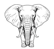 Elephant walking sketch vector