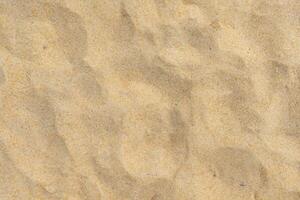 Close-up of Beach Sand Texture photo